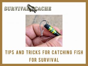 Catching Fish for Survival