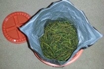 dehydrating_food_for_survival SHTF Food Storage