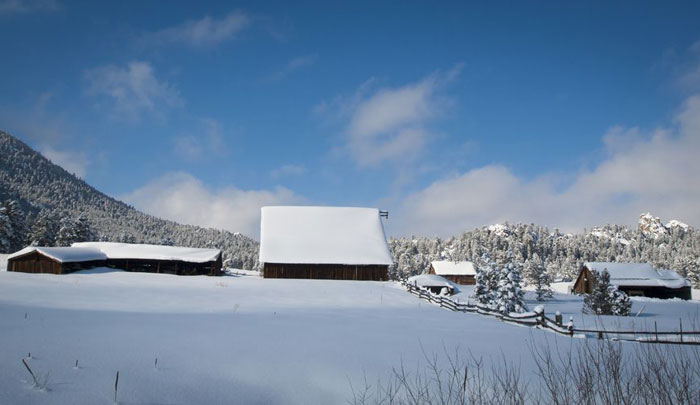 Homestead Winter